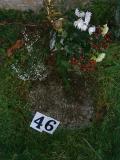 image of grave number 275139